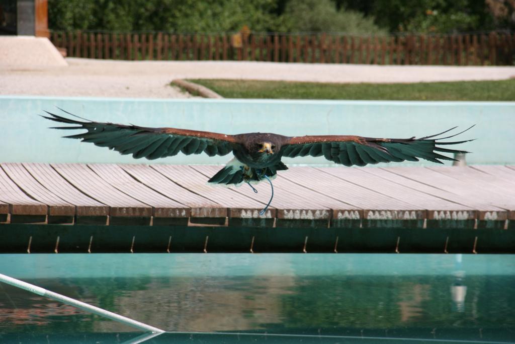 Quinta De La Barandica Konuk evi Miranda do Douro Dış mekan fotoğraf