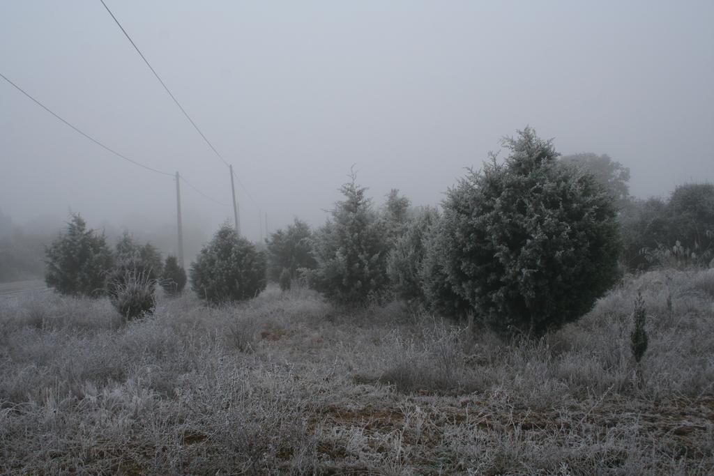 Quinta De La Barandica Konuk evi Miranda do Douro Dış mekan fotoğraf